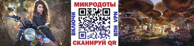 где продают наркотики  Евпатория  blacksprut ссылки  Псилоцибиновые грибы мицелий 