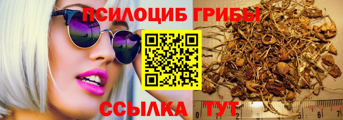 Евпатория  Галлюциногенные грибы прущие грибы  Вход с VPN 